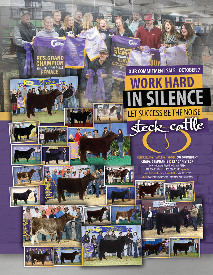 Steck Cattle | Work hard in Silence Let Success be the Noise