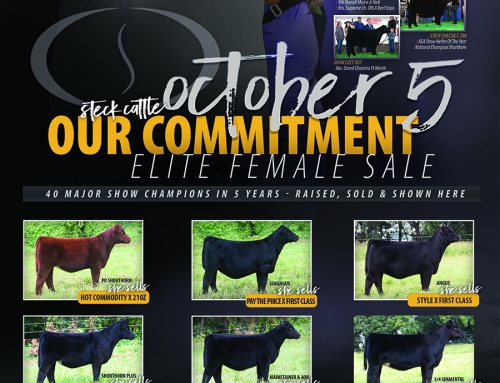 OCTOBER 5, 2019 Our Commitment Sale