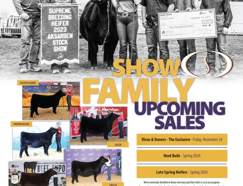 Steck Cattle Upcoming Sales