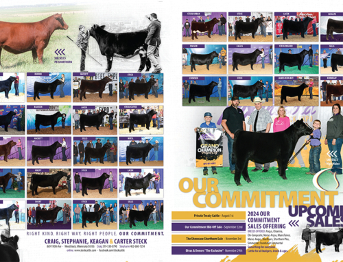 Steck Cattle Our Commitment Upcoming Sale