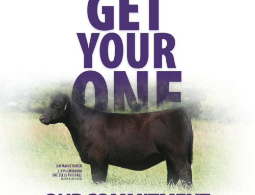 GET YOUR ONE: Our Commitment Starts with One.