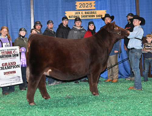 Thank you, Louisville!