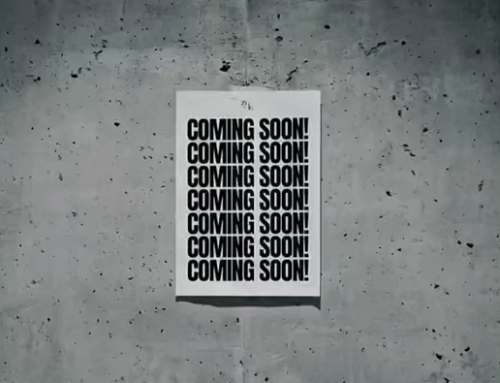 Are You Ready? Something New Is Coming to Steck Cattle