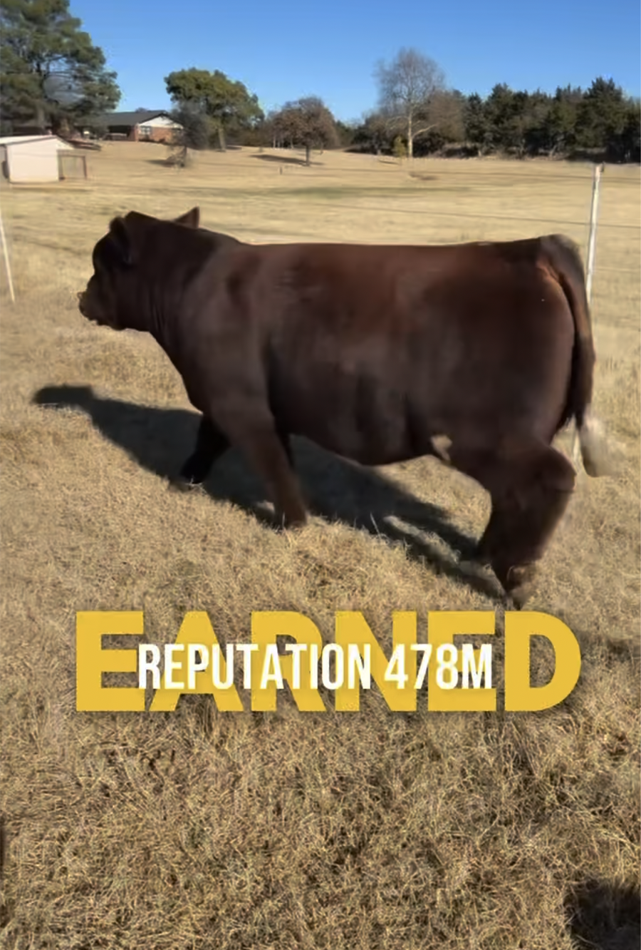 Screen Grab of Earned Reputation 478M