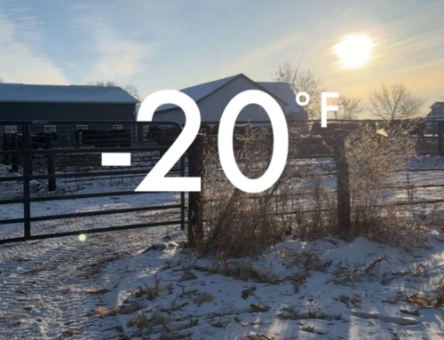 Well friends, it’s cold outside in the Northland!