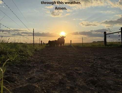 A Rancher’s Prayer