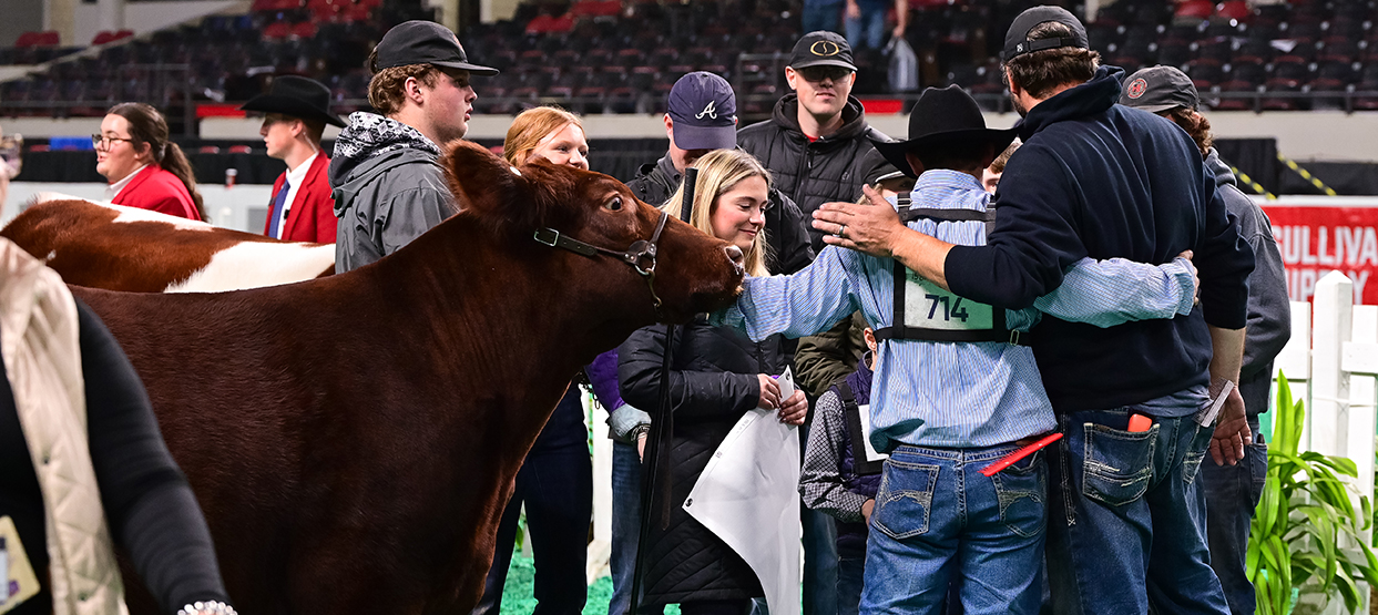 1243x555MTH.25NAILE.3.OPENSHORTHORN.FINAL-117