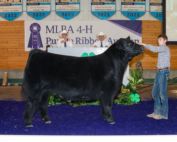 Keagan Steck & Tripp MLBA 4-H Purple Ribbon Auction 2026 MN State Fair