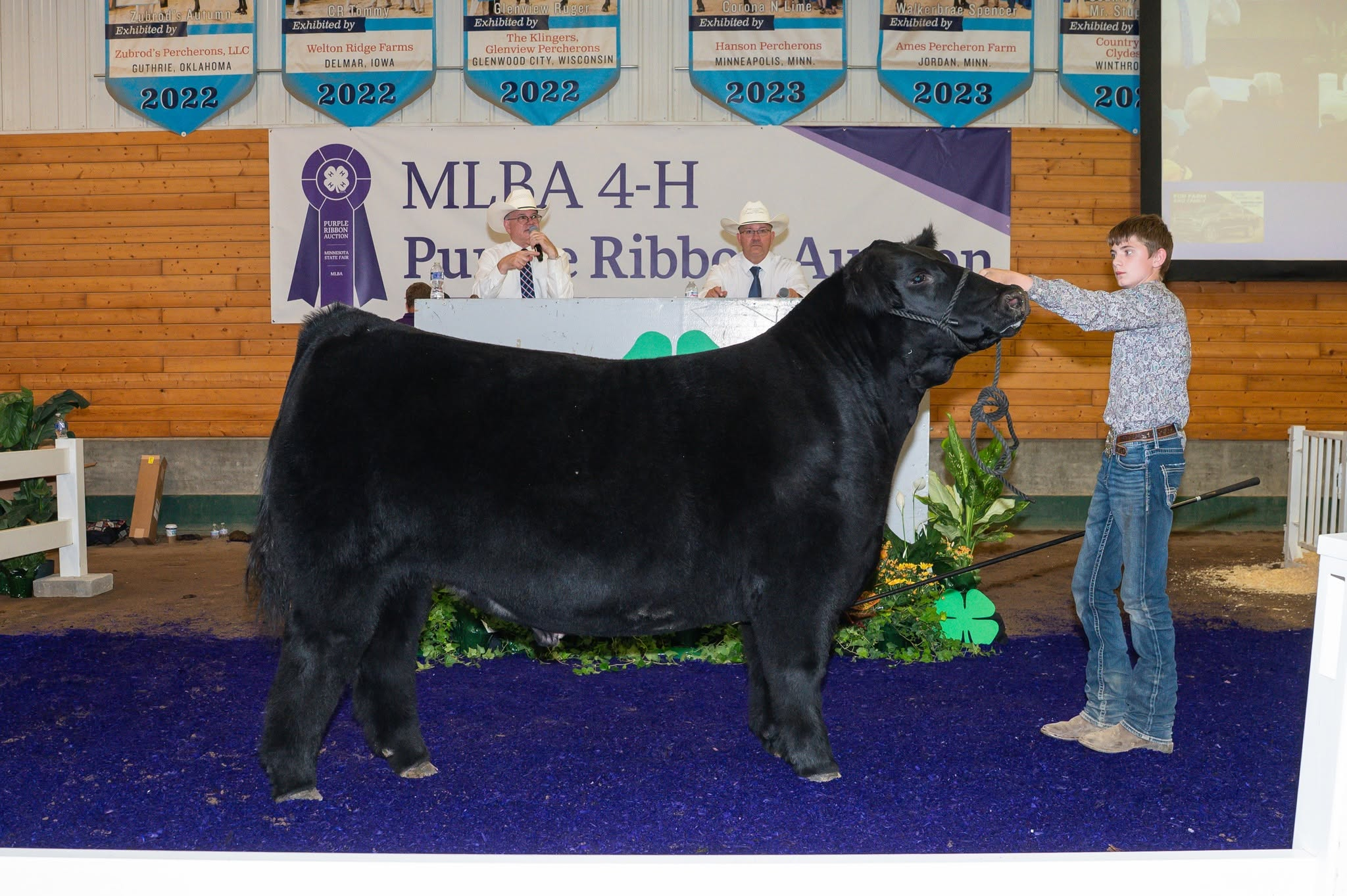 Keagan Steck & Tripp MLBA 4-H Purple Ribbon Auction 2026 MN State Fair