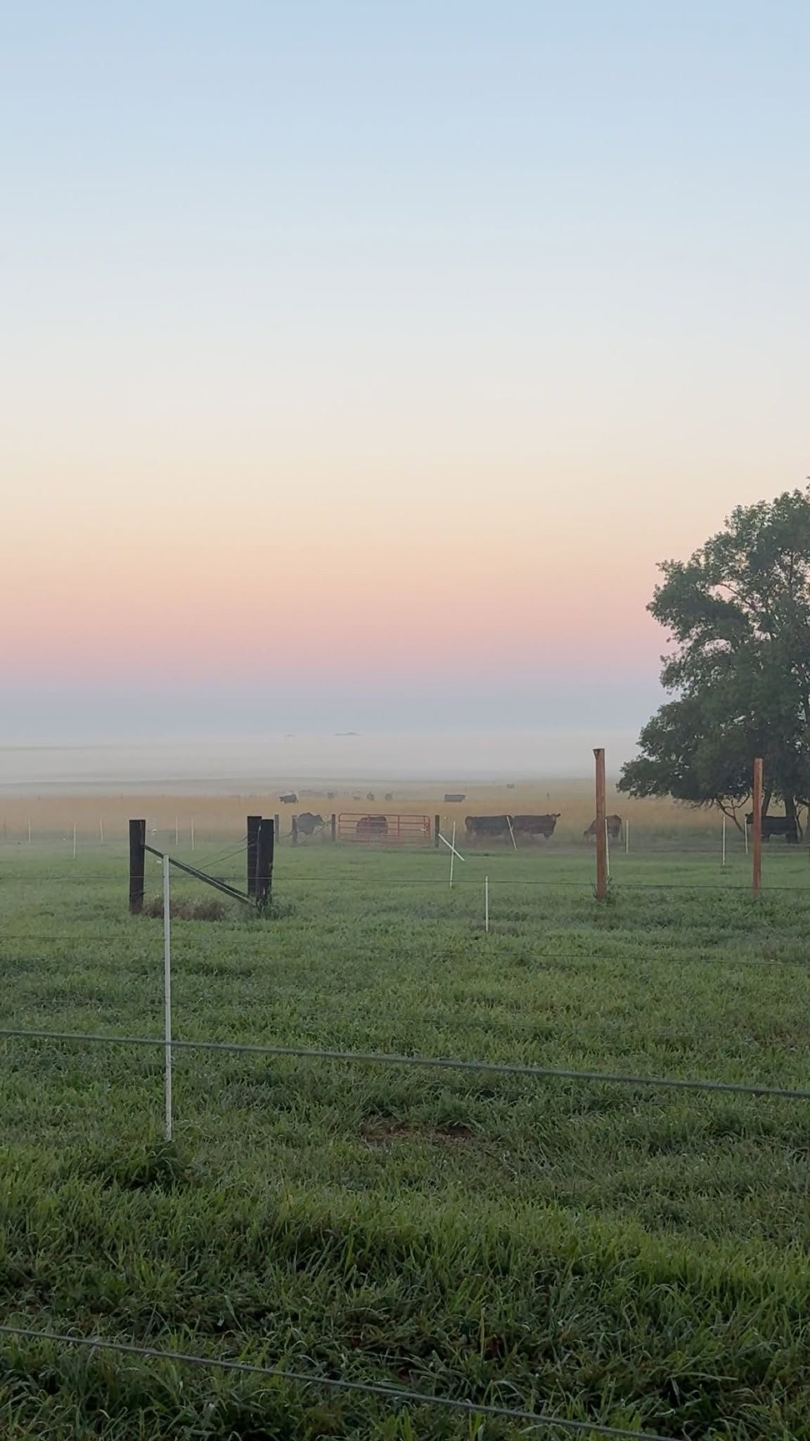 Some of the best days around here start just like this.