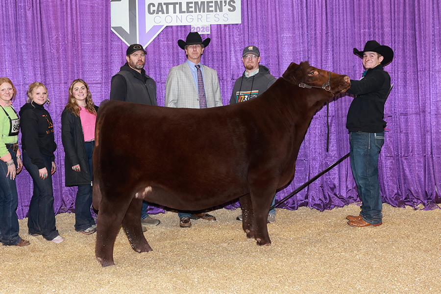 Champion Shorthorn OKC Cattlemen's Congresss Carter Wickard Steck Chelsie