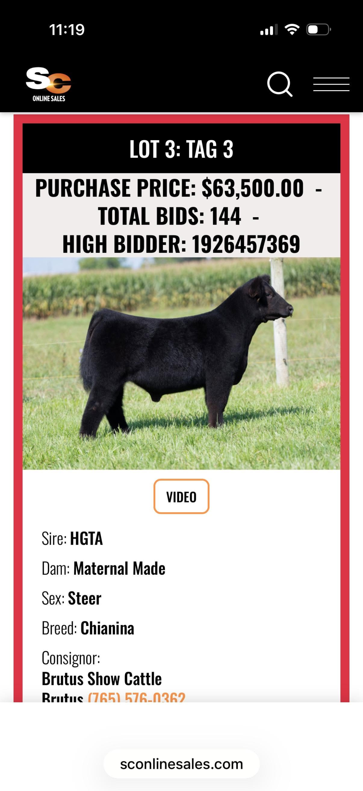 Steve Harvey $63,500 Steer HGTA X Maternal Made/Pumpkin