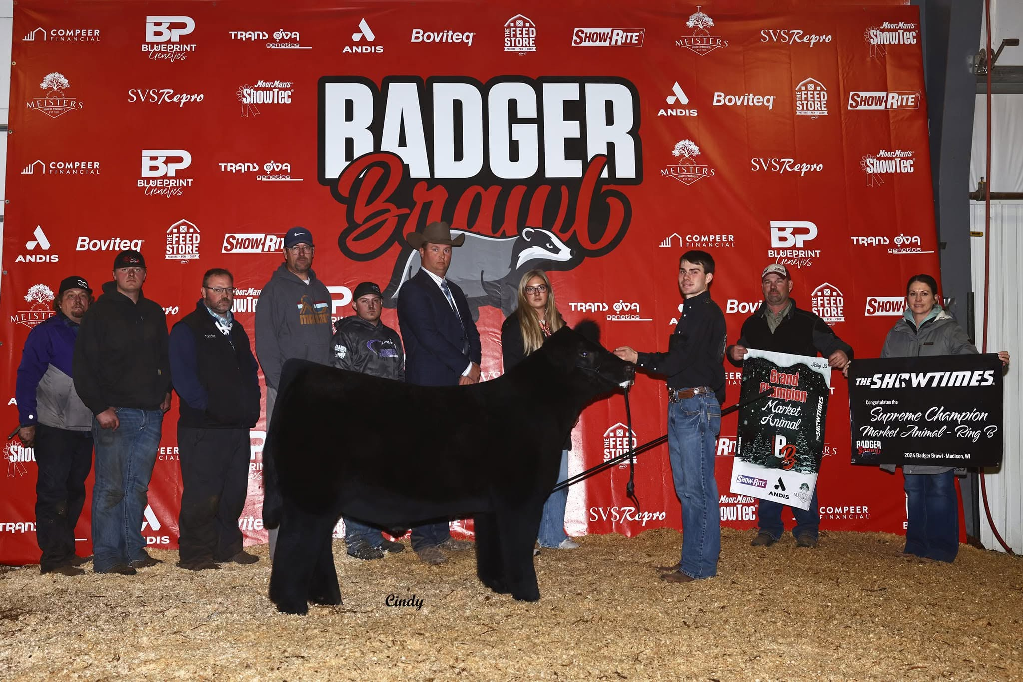 Steve Harvey Badger Champion dam. Maternal Made/Pumpkin