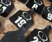 Steck Cattle Tags