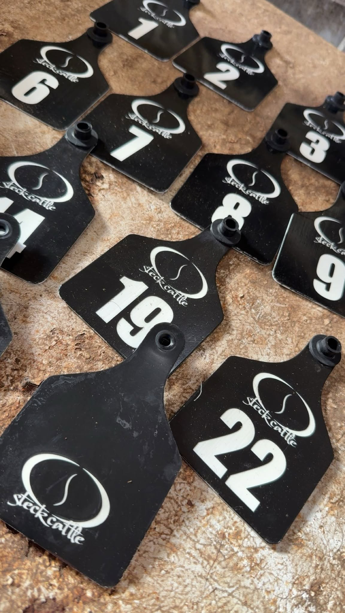 Steck Cattle Tags